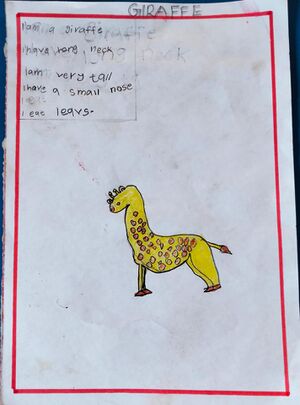 19317-MLP-KUNJ-FATHIMA SANA K.jpeg