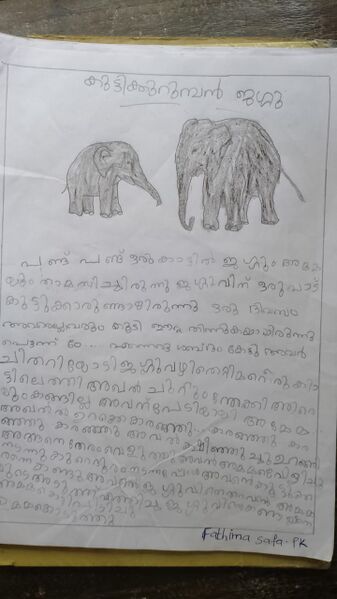 പ്രമാണം:19417-MLP-KUNJ-FATHIMA SAFA.jpg