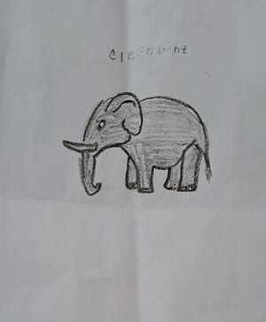 19801-MLP-KUNJ-MUHAMMED RAZI.jpg