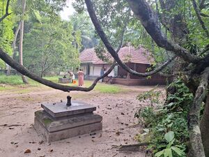 24253-GRAMAM CHERAYI KALARIKKAL TEMPLE.jpg
