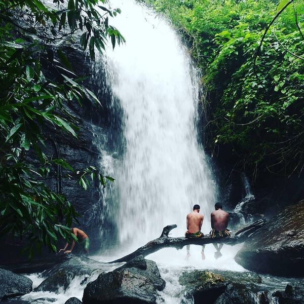 പ്രമാണം:29312 karimkunnam10.jpg