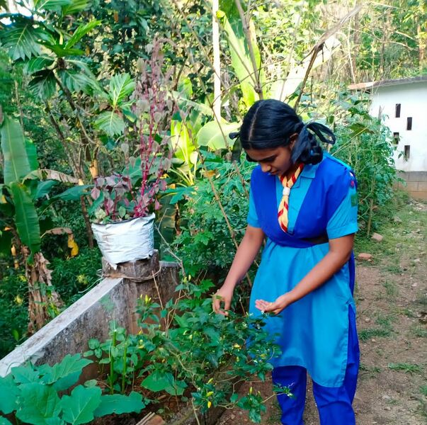 പ്രമാണം:31076 5.jpg