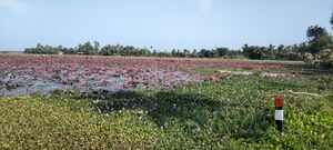 33027 fieldtrip7.jpeg