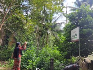 42610 ENTE GRAMAM1.jpg