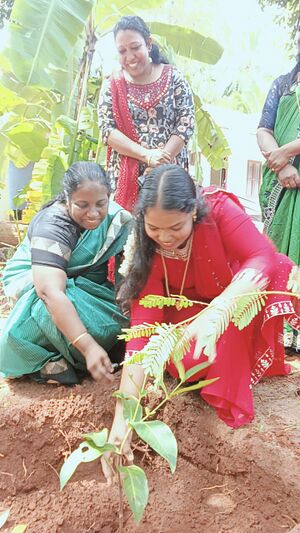 44212 Environment day..jpg