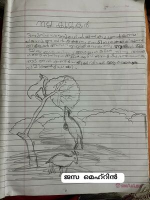 48230-MLP-KUNJ-JAZA MEHRIN.jpg