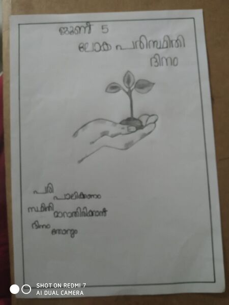 പ്രമാണം:Eco6 43065.jpeg