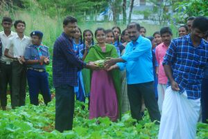 Kakkat pachakari2.jpeg