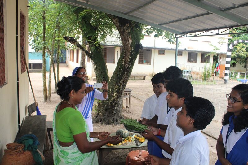 പ്രമാണം:Krushi 19 35052 1.jpg