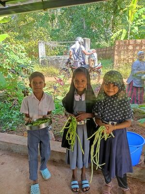 Pachakkari thottam1.jpg