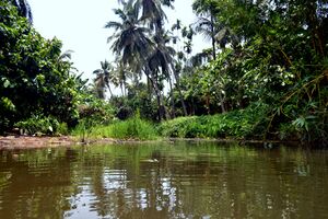 Thanikkudam River01(DSC 2008) 02.JPG