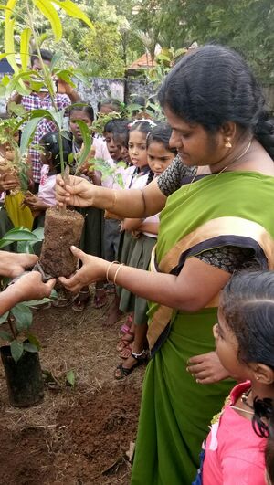 പരിസ്ഥിതി ദിനാചരണം 2.jpg