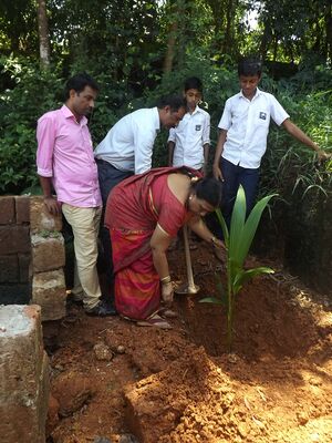 12060 nalikeradinam 3.JPG