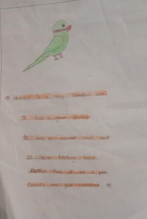 13369 KUP HIBA MARYAM.jpeg