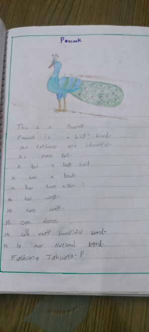 19454-MLP-KUNJ-FATHIMA JAHANARA P.jpeg