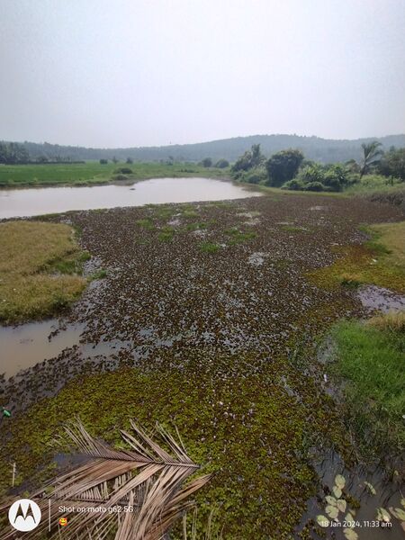 പ്രമാണം:19669 ente gramam.jpg