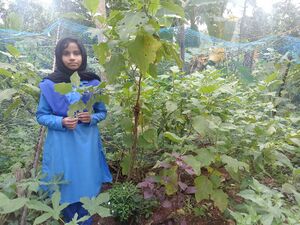 19869-veettiloru thottam 2.jpeg