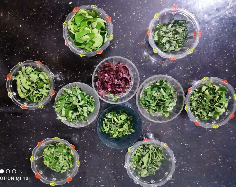 പ്രമാണം:20022 seed3.jpg