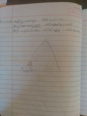 24341-TSR-KUNJ-Sringa N S.jpeg