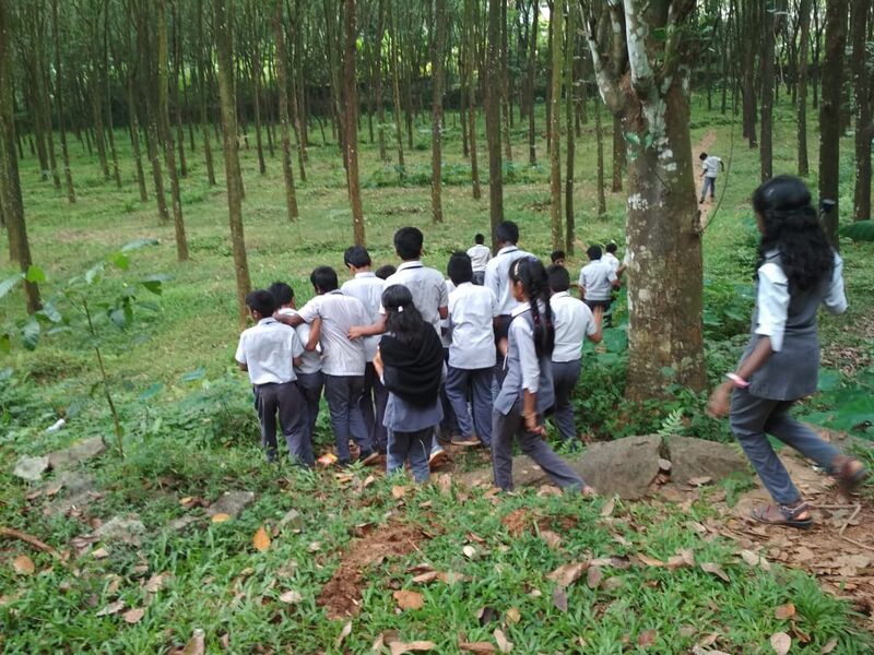 പ്രമാണം:29032 804.jpg