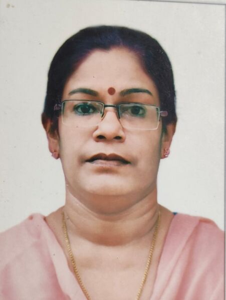 പ്രമാണം:34013hm minitr.jpg