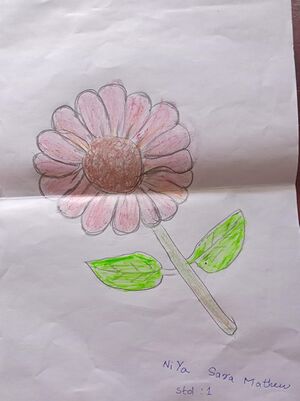 38052-PTA-KUNJ-NIYA SARA.jpeg