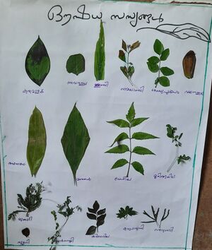 41521 agricultureFest4.jpg