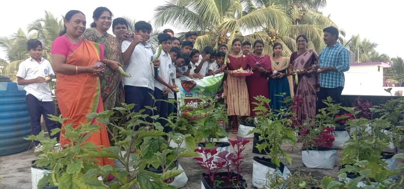 പ്രമാണം:43240 seed3.jpg