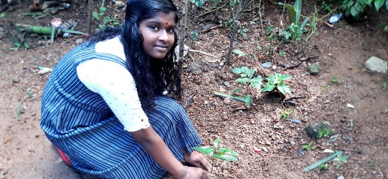 പ്രമാണം:44018 e32.jpg