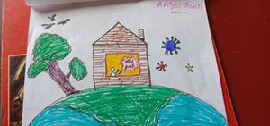 45312-Covid 19 Angel Robin.jpg