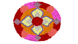 48037 mlp dp 2019 2.png