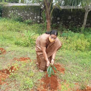 BS21 TVM 44007 3.jpg