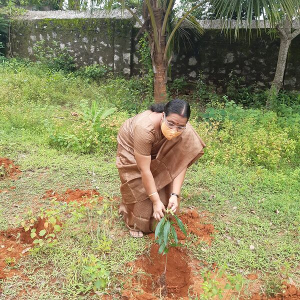 പ്രമാണം:BS21 TVM 44007 3.jpg