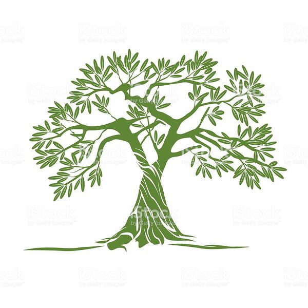 പ്രമാണം:Full tree.jpg