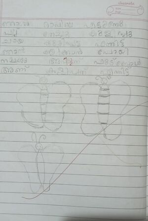 11458-KGD-KUNJ-NIVIN N.jpg