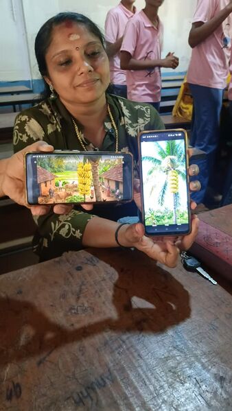 പ്രമാണം:12029 lk 903.jpeg