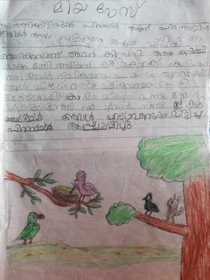 12054-KGD-KUNJ-miya rose.jpg