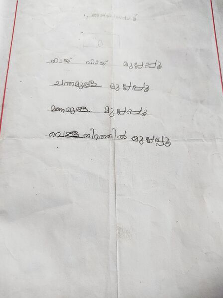 പ്രമാണം:14312-KNR-KUNJ-SALMANUL FARIS.jpg