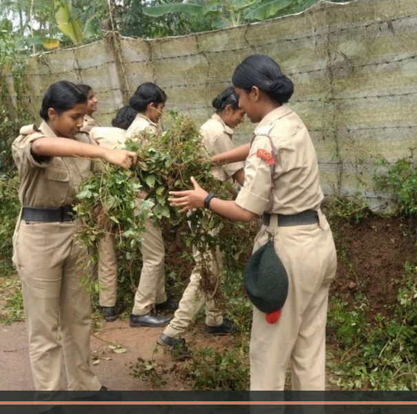 പ്രമാണം:15051 ncc cl.png