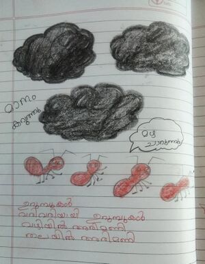 24668-TSR-KUNJ-RUDRA C A.jpg