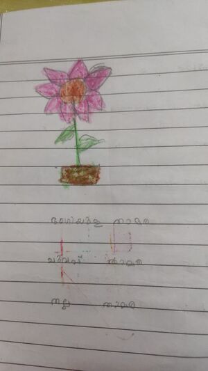 29421-IDK-ANANYA BALAN.jpg