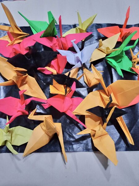 പ്രമാണം:38642 Kokkukal.jpg