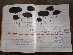 41318-KLM-KUNJ-Ardra Subhash.jpg