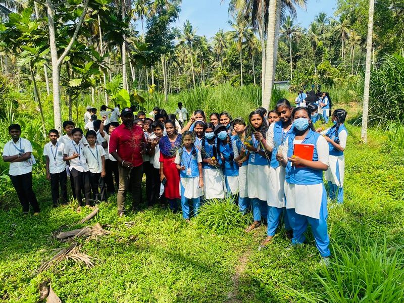 പ്രമാണം:44018 ela 60.jpg