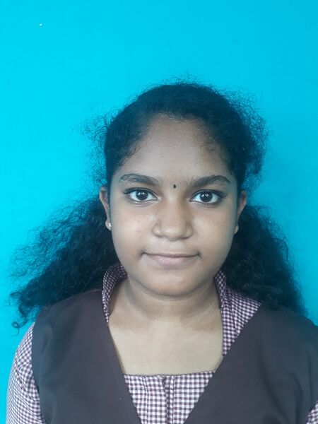 പ്രമാണം:44055 lk9.resized.jpg