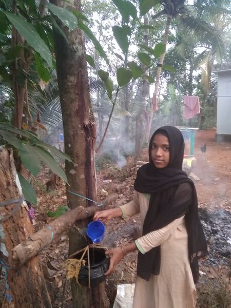 പ്രമാണം:47089 202.jpeg