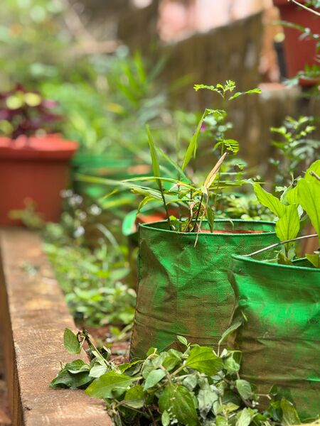 പ്രമാണം:WhatsApp Image 2025-07-15 at 13.12.37.jpg