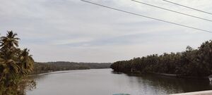 19455 kottakadavu river 2.jpg