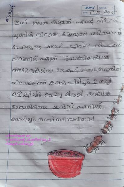 പ്രമാണം:19541 hina.jpg