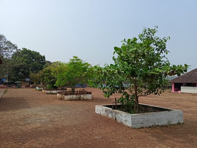 പ്രമാണം:19833 facility87.jpg